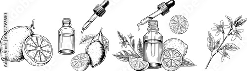 Black and white illustration of lemons and essential oil bottles citrus dropper