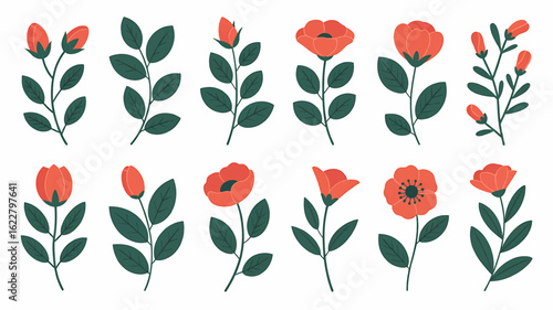 red tulips on white background