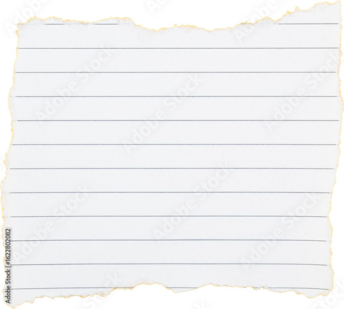 Torn lined notebook paper sheet with empty space for writing notes or reminders isolated on white transparent background