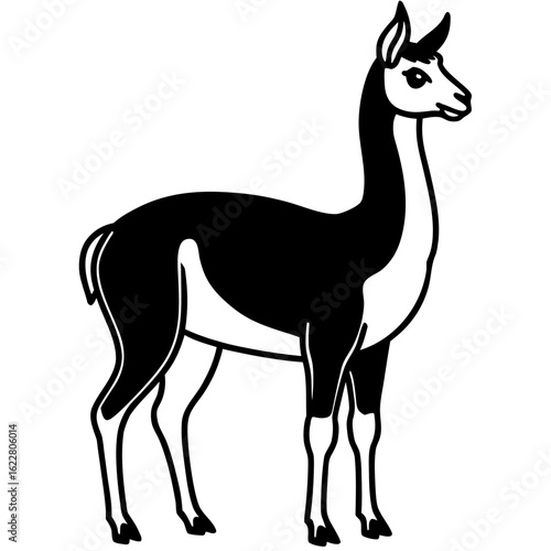 Vicuna vector silhouette black design white background