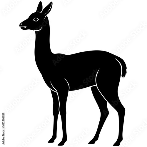 Vicuna vector silhouette black design white background