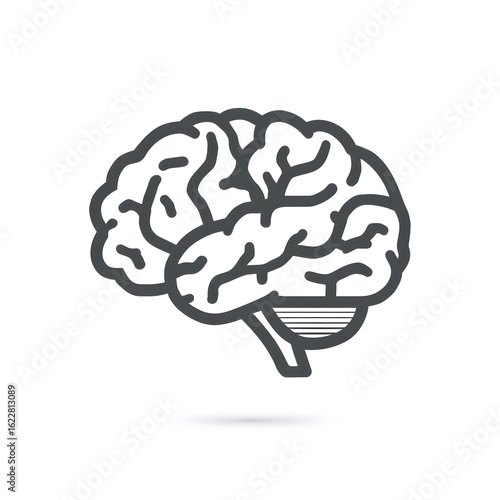 Brain illustration in simple line art style.