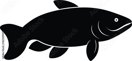 Silhouettes vectorielles d'animaux marins nageant sous-l'eau, idéales pour l'illustration de la faune aquatique et des fruits de mer