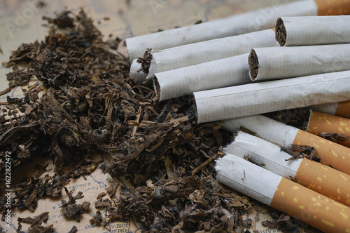 Close up image of several cigarettes partially unrolled, revealing loose tobacco alongside them on textured surface. scene highlights raw materials used in cigarette production