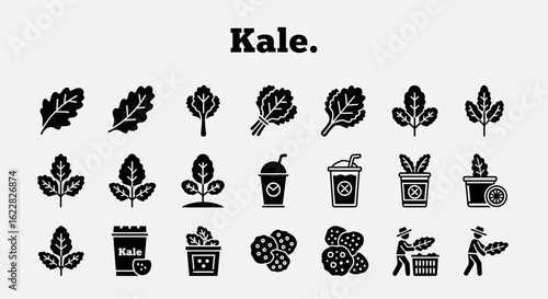 Kale Icons: Solid Black Symbols for Healthy Greens and Superfoods