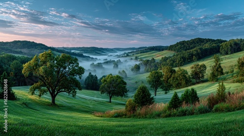 Misty valley landscape at dawn
