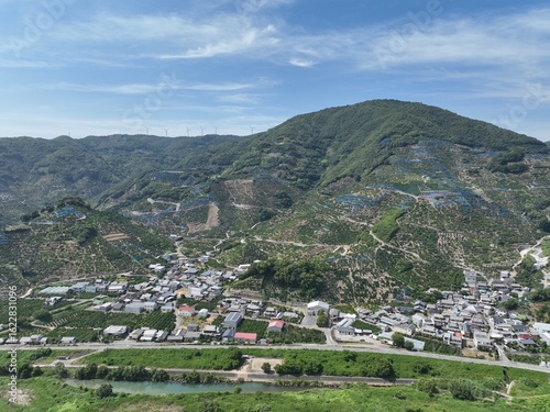 Wallpaper Mural 和歌山県の綺麗な蜜柑の丘をドローン空撮 Torontodigital.ca