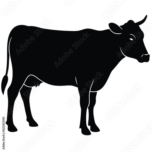 Black cow silhouette standing cattle bovine