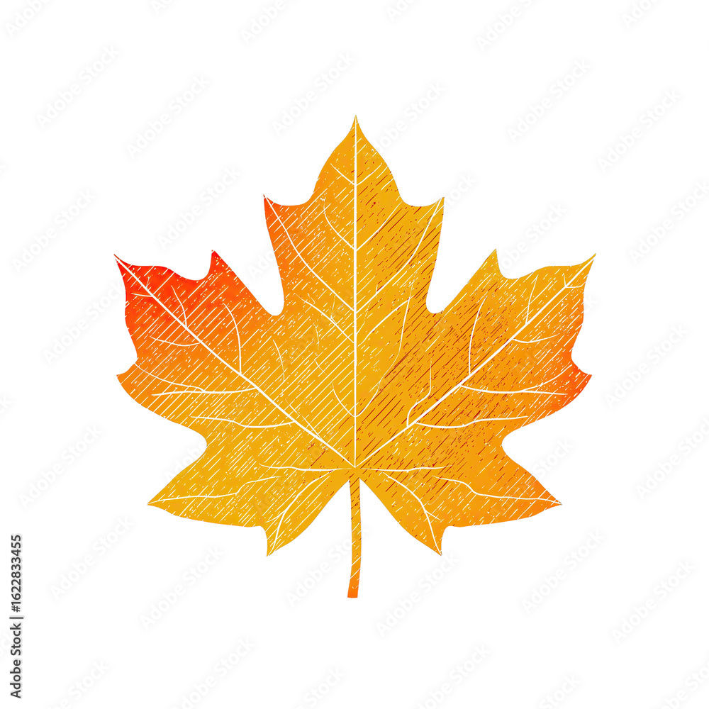 Obraz premium Stylized Maple Leaf Silhouette with Subtle Vein Texture on White Background