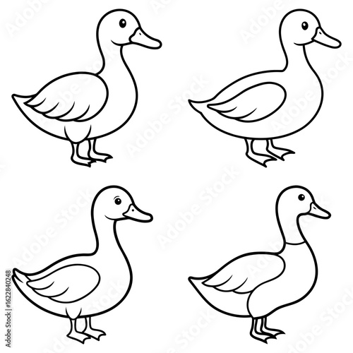Four outlined ducks in various poses facing different directions on a white background displayed nicely