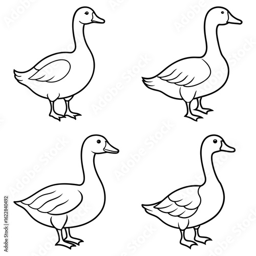 Four outlined geese standing in different poses with smooth lines and simple shapes on white background