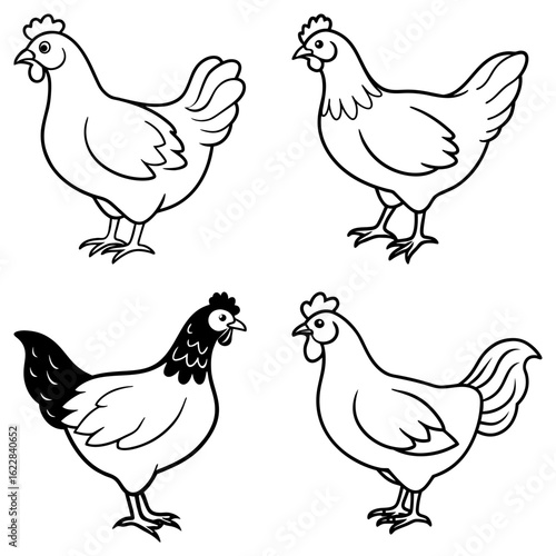 Four outlined chickens in various poses with one chicken having a black head and tail feathers