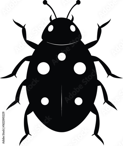 Joli petit insecte rouge et noir is the correct name for the image