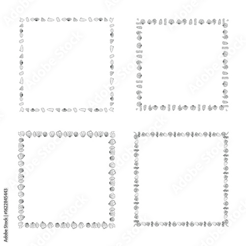 Set of square frames from sea shells and plants. 