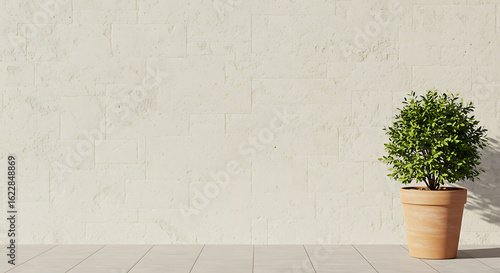 Fototapeta Naklejka Na Ścianę i Meble -  Minimal Scene with Plant in Pot Against Textured Stone Wall and Sunlight Empty Space