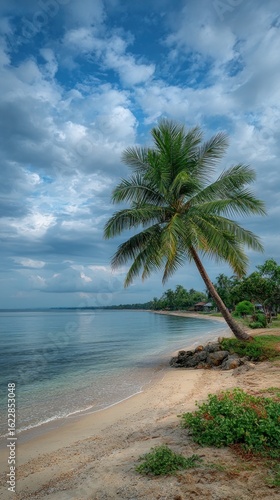 Tropical beach scene with palm tree (2)