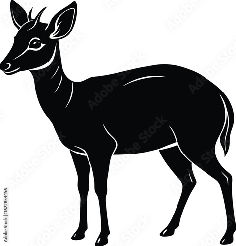 Black silhouette of a duiker antelope on white background animal wildlife