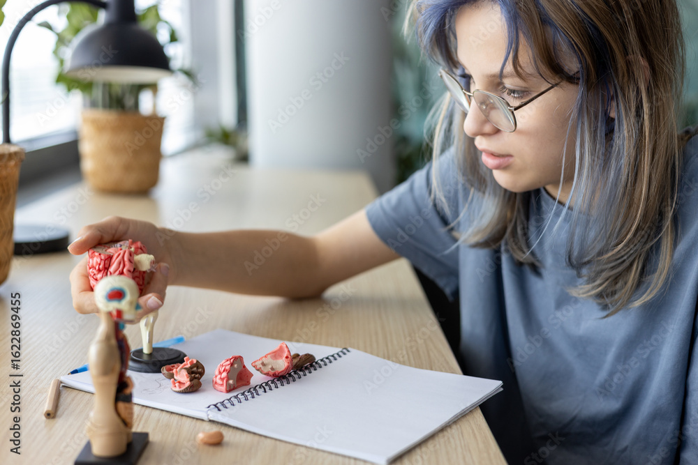 Fototapeta premium Diverse students engaged in online learning, STEM crafts, and anatomy projects at home, exploring creativity and science while preparing for school assignments and developing study habits.