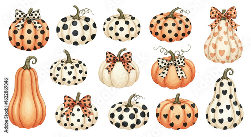 Assorted pumpkins with decorative bows and patterned designs autumn fall