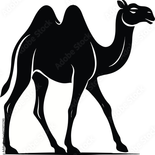 camel vector illustration