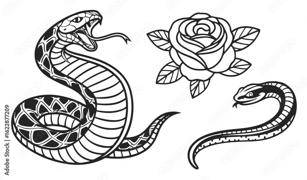 Obraz premium snake and flower