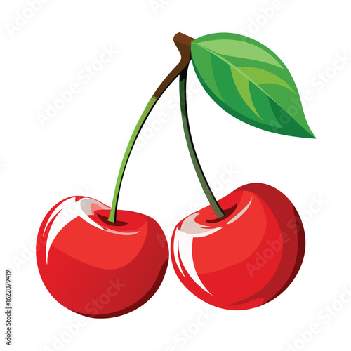 vector illustration of cherry