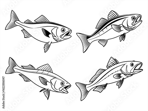 coloring page line art the haddock black vector bundle