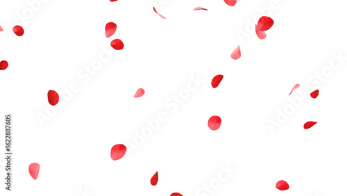 赤いバラの花びらの乱舞：背景透過