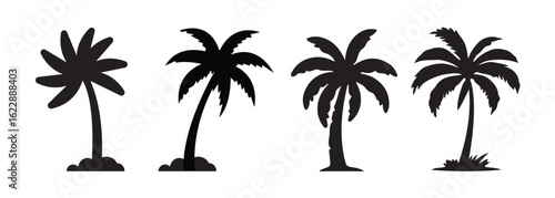 Monocrhome palm tree shiloutte vector.Palm trees.Palm tree silhouettes set – black palm tree shapes collection, isolated vector on white background.