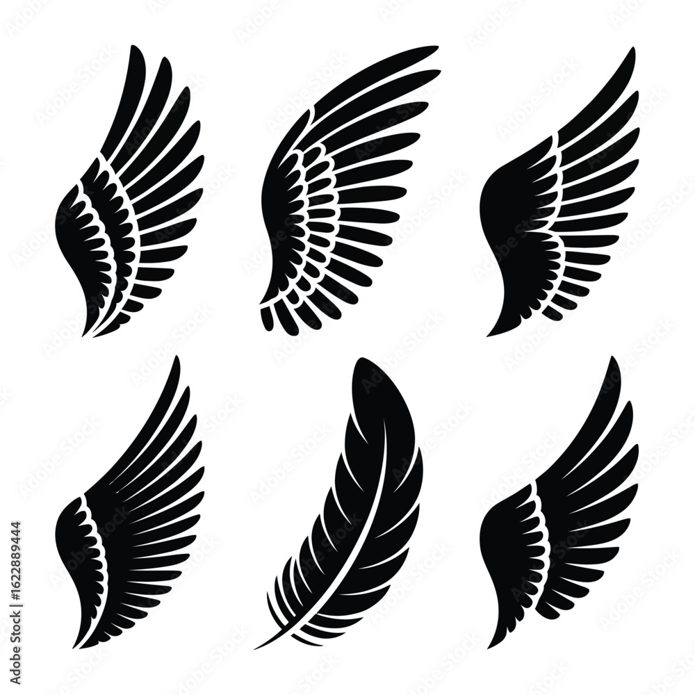 Fototapeta premium A set of 6 bird wing and feather silhouette combinations, full black fill, no background.