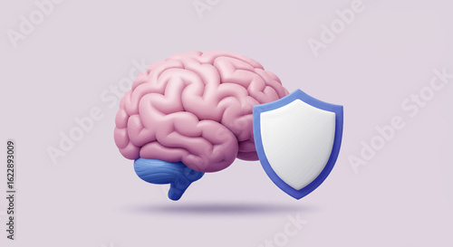 3D rendered human brain protected by a shield, symbolizing brain health and safety.