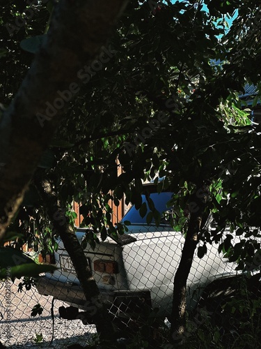 Hidden Classic: Old Car Behind the Fence