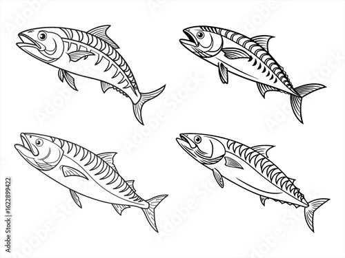 coloring page line art the mackerel black vector bundle