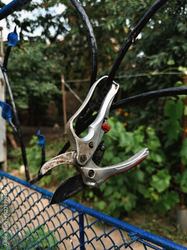 Rusty Pruning Shears Hanging on Fence