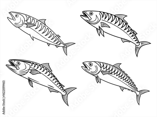 coloring page line art the mackerel black vector bundle