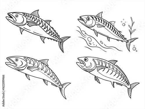 coloring page line art the mackerel black vector bundle