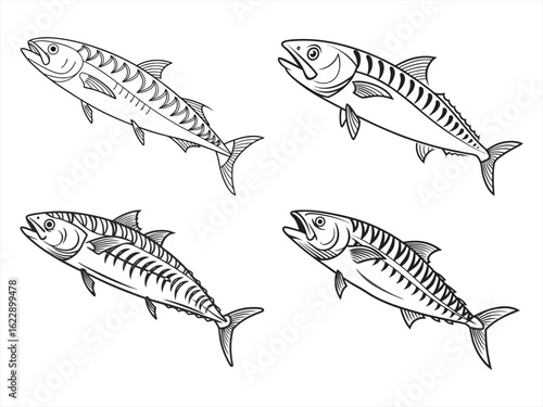 coloring page line art the mackerel black vector bundle