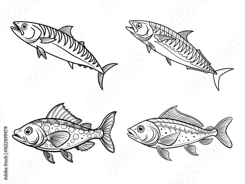 coloring page line art the mackerel black vector bundle
