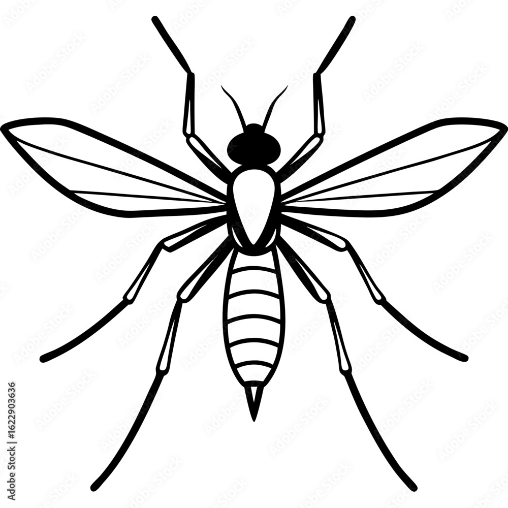 Obraz premium Forest Midge art vector