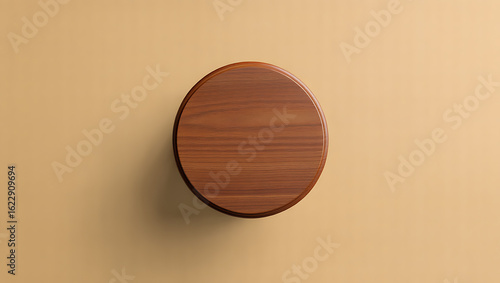 Minimalist oval wooden coat hook mounted on a plain beige wall offering a simple and natural aesthetic for home decor