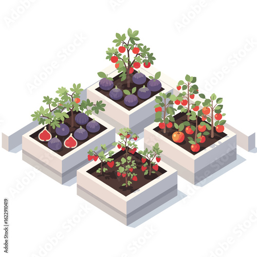 Isometric Garden with Fruit Plants in Planters