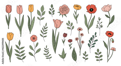 Beautiful Hand Drawn Floral Arrangements and Decorative Botanical Elements Collection