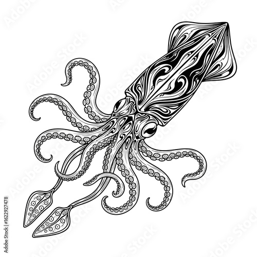 A stylized black and white line art illustration of a squid with intricate, swirling patterns.