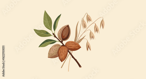 Floral arrangement with almond nuts and leaves on a beige background  