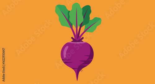 Purple beetroot with green leaves on orange background  