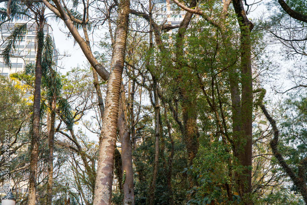 Fototapeta premium Scenic view of Praça Osório in Curitiba, Paraná – historic urban park with green spaces