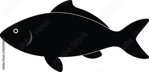 Vector silhouette of a marine animal like a cartoon shark or fish, an illustration of seafood from the river or ocean