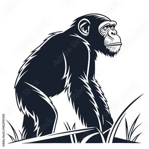 Wallpaper Mural Chimpanzee standing in grass, illustration Torontodigital.ca