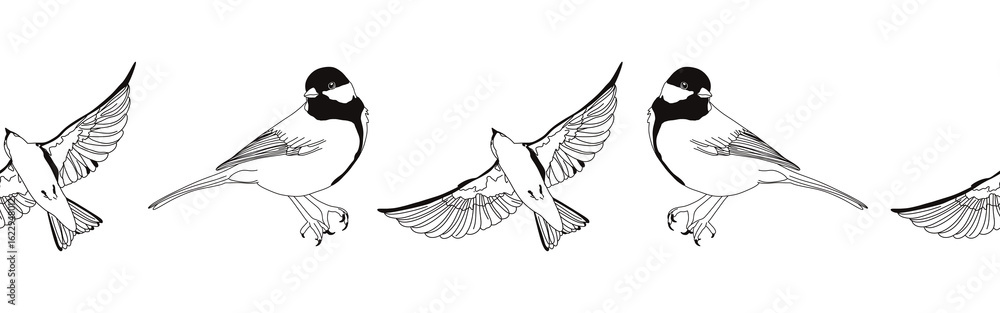 Obraz premium Border icon border. Bird feather silhouette symbol. Bird border isolated on white background 