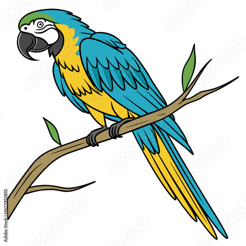 Blue and yellow macaw parrot perched on a branch, isolated on white background